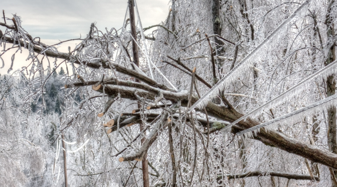 Live Better Podcast Ep 349: Rising Above the Storm